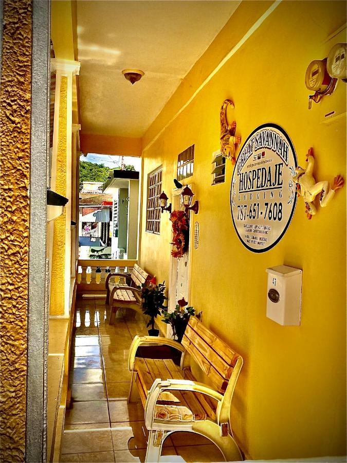Sabana Grande Great Savannah Guesthouse מראה חיצוני תמונה